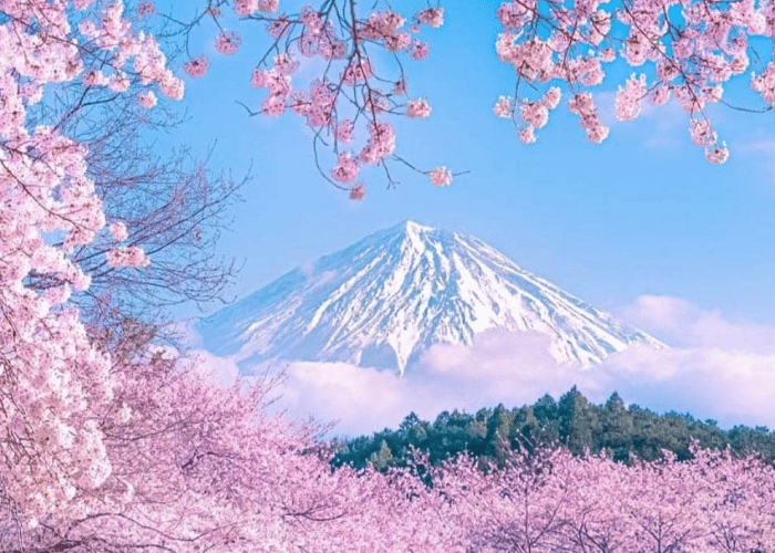 staying strong when things go wrong: sunday 8 feb with gen leksang