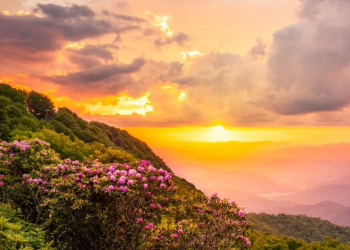 how to create happy relationships: saturday 14 february