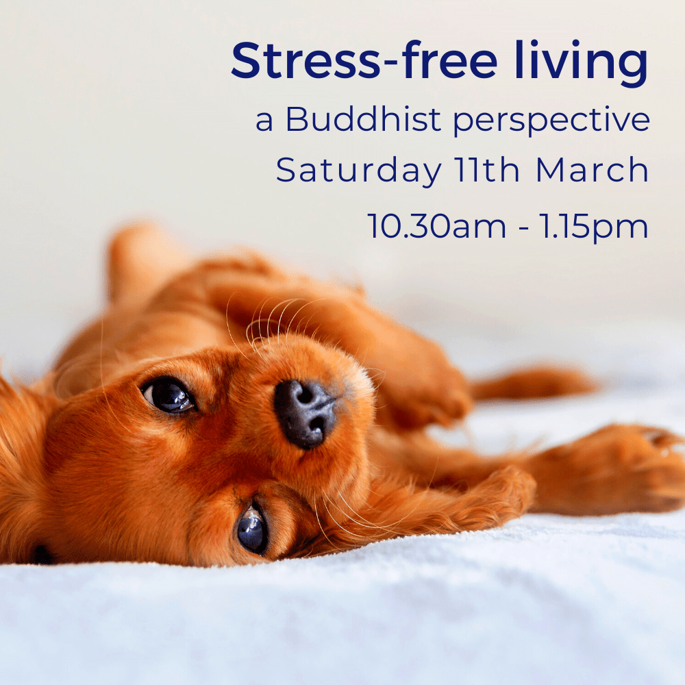 Stress-free living: a Buddhist perspective – Saturday 11th March –  Nagarjuna KMC Leicester